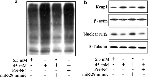 Fig. 6