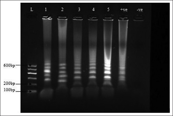 Figure-3