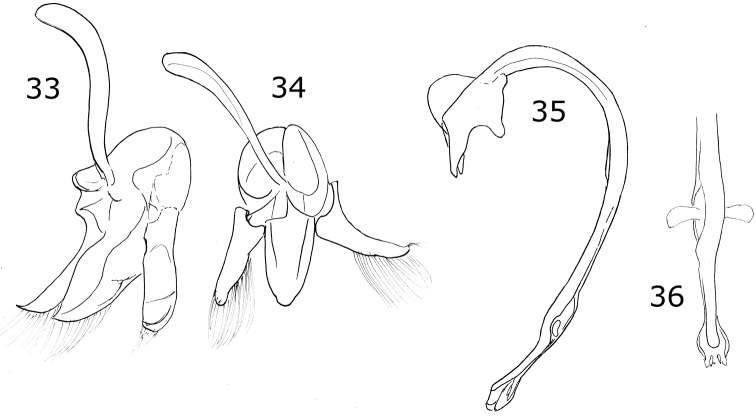 Figures 33–36.