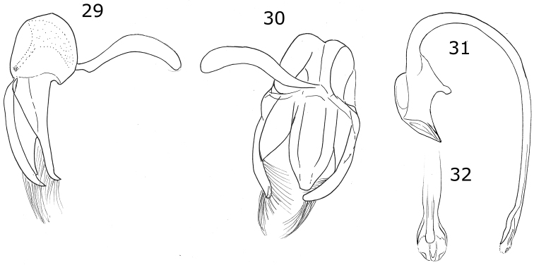 Figures 29–32.