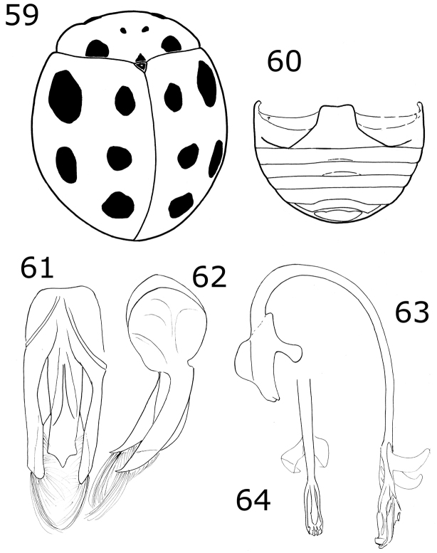 Figures 59–64.