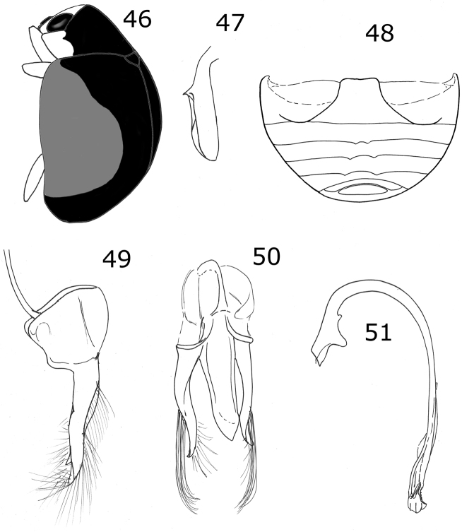 Figures 46–51.