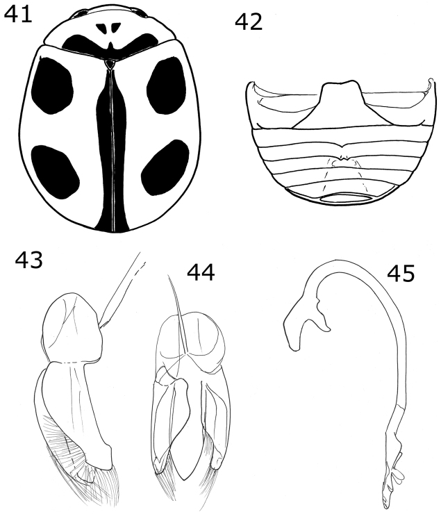 Figures 41–45.