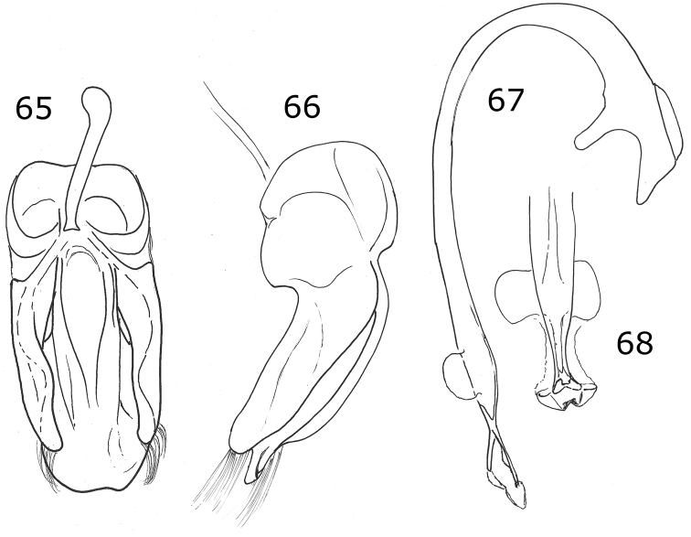 Figures 65–68.