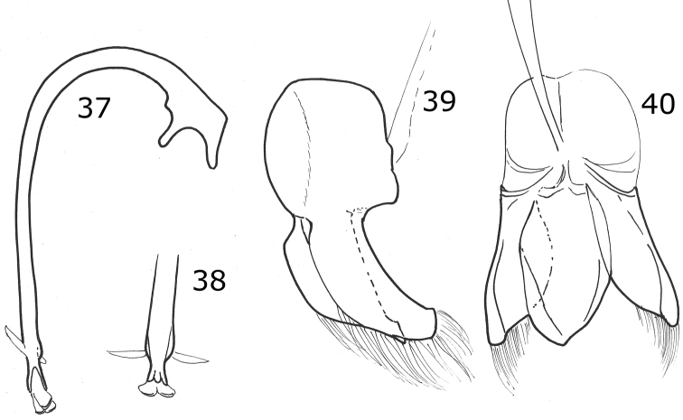 Figures 37–40.