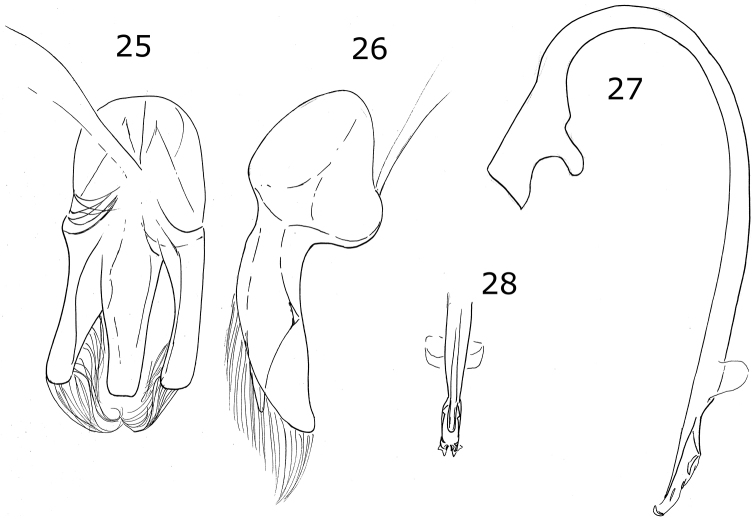 Figures 25–28.