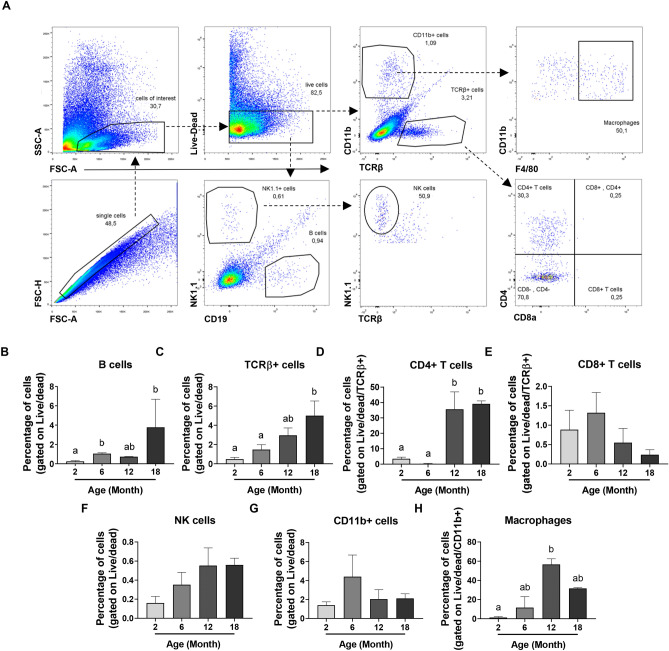 Figure 6