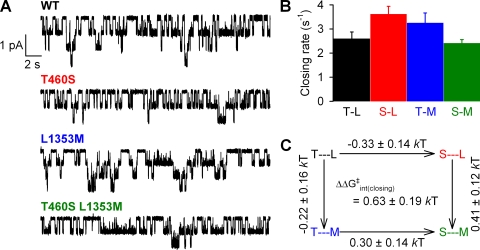 Figure 2.