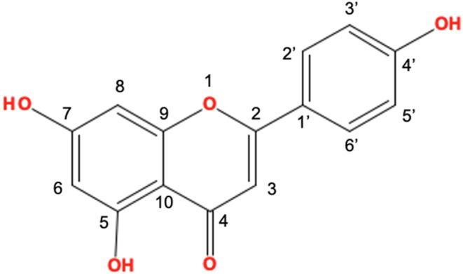 FIGURE 1