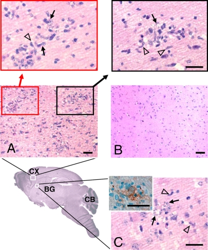 FIG. 4.