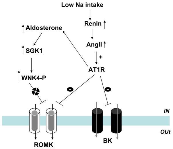 Fig. 4