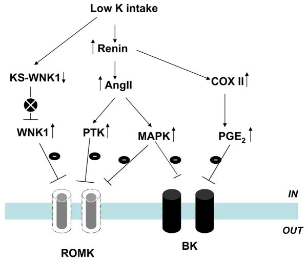 Fig. 6