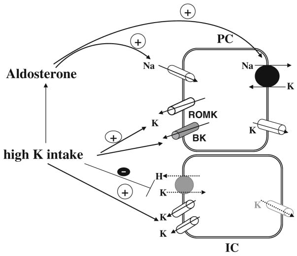 Fig. 2