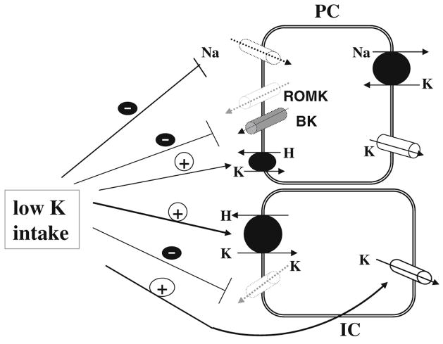 Fig. 5