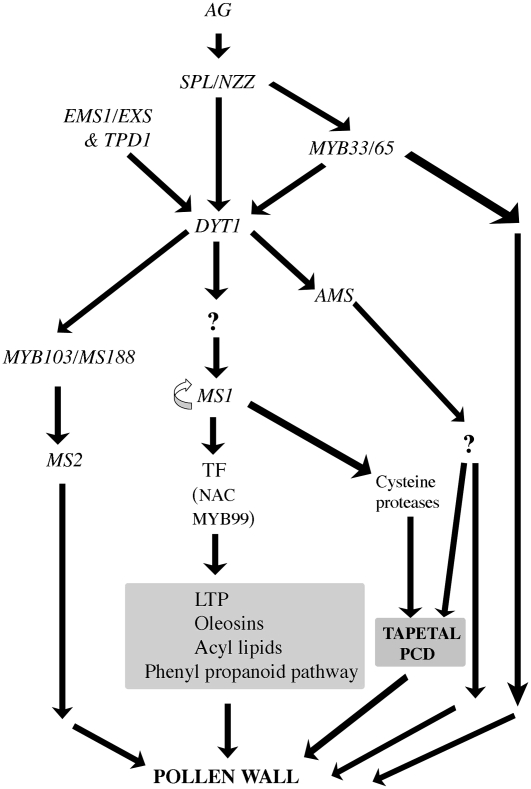 Figure 10.