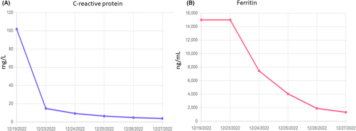 FIGURE 3