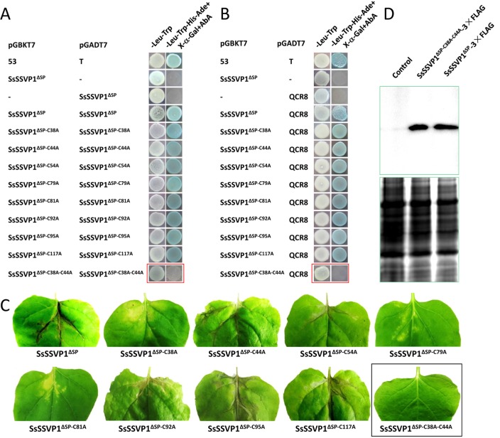 Fig 8