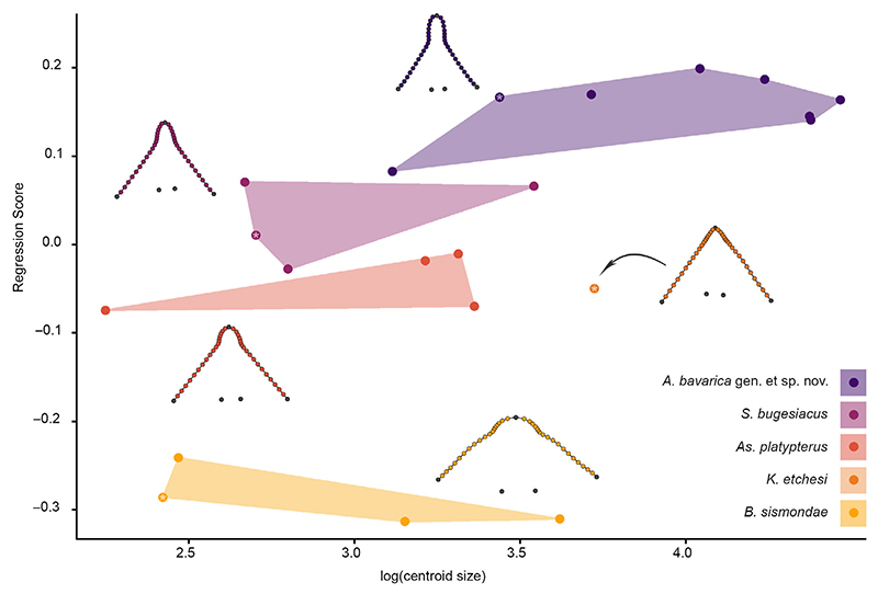 Fig. 12