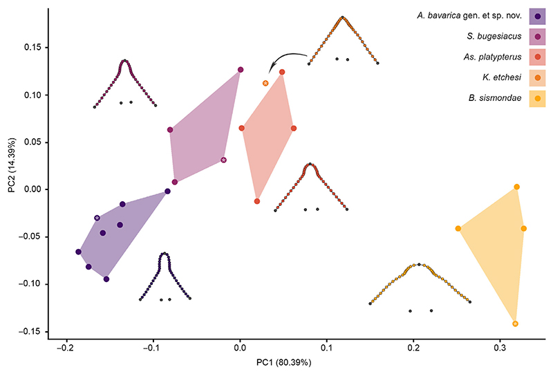 Fig. 11