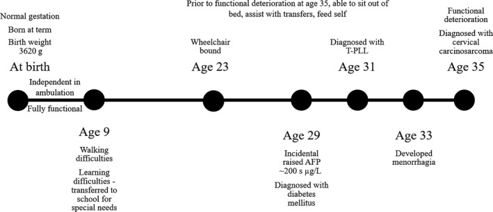 FIGURE 3