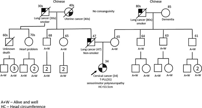 FIGURE 4