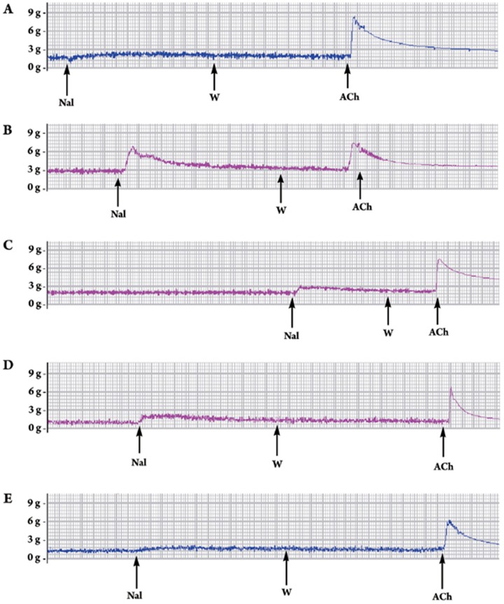 Figure 5