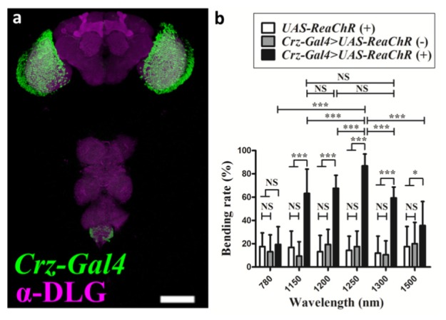 Fig. 3