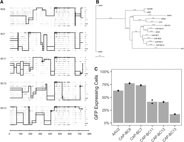 Figure 6.