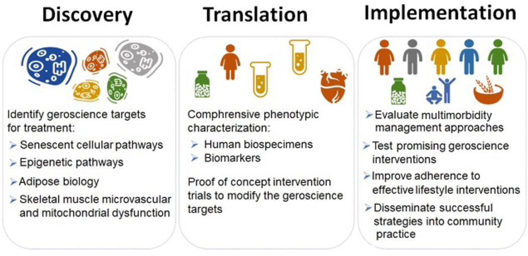 Figure 6: