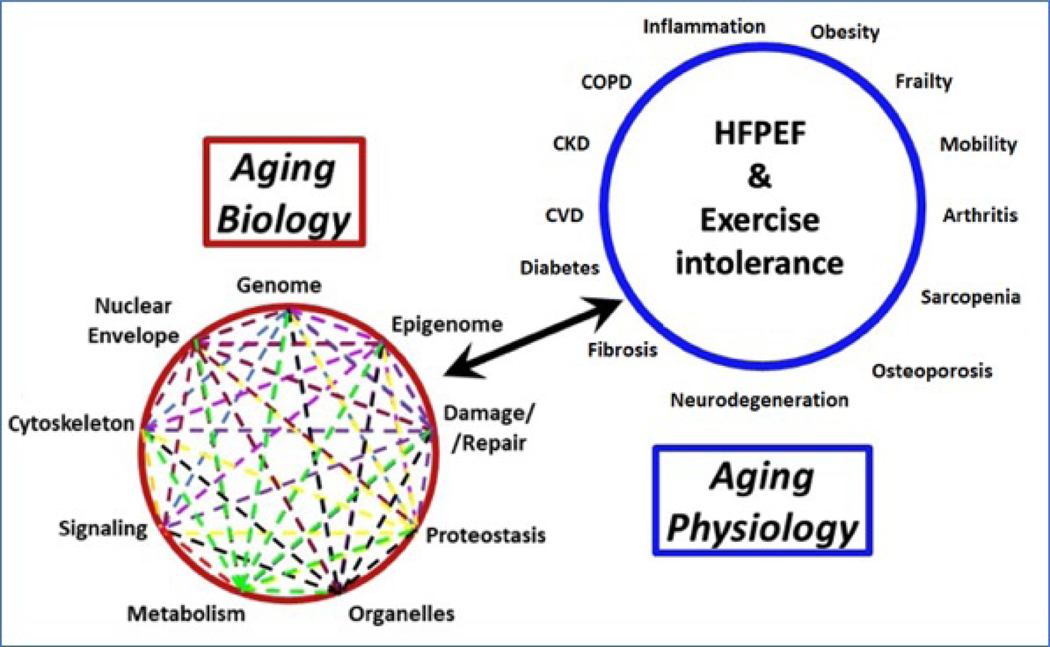 Figure 5: