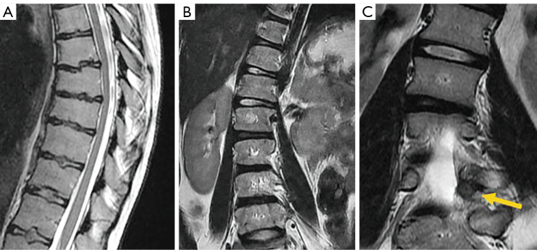 Figure 24