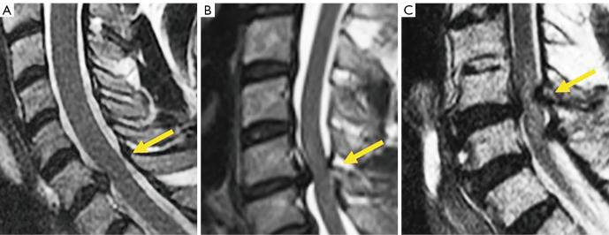 Figure 19