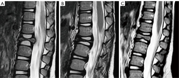 Figure 29