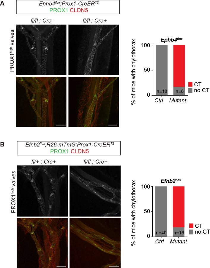 Figure 2—figure supplement 2.