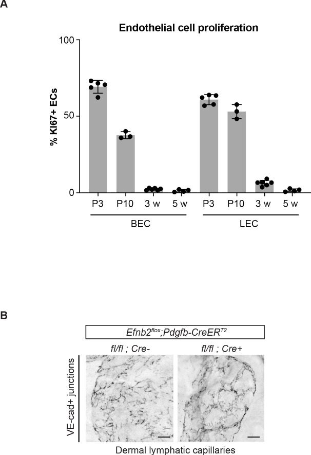 Figure 1—figure supplement 1.