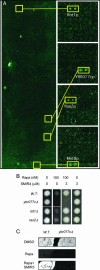 Fig. 3.