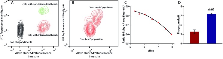 Fig. 8