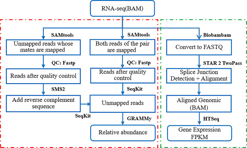 Figure 1