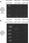 FIGURE 7.