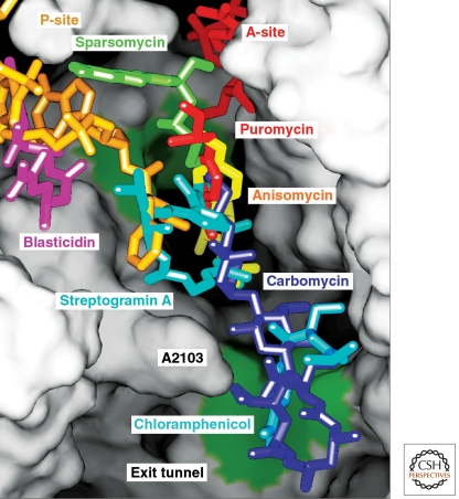 Figure 6.