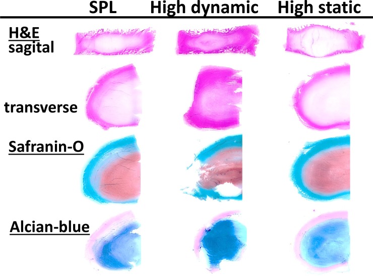 Fig 8