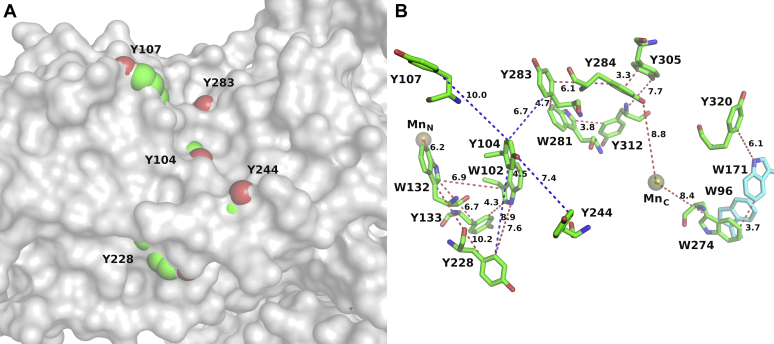 Figure 3