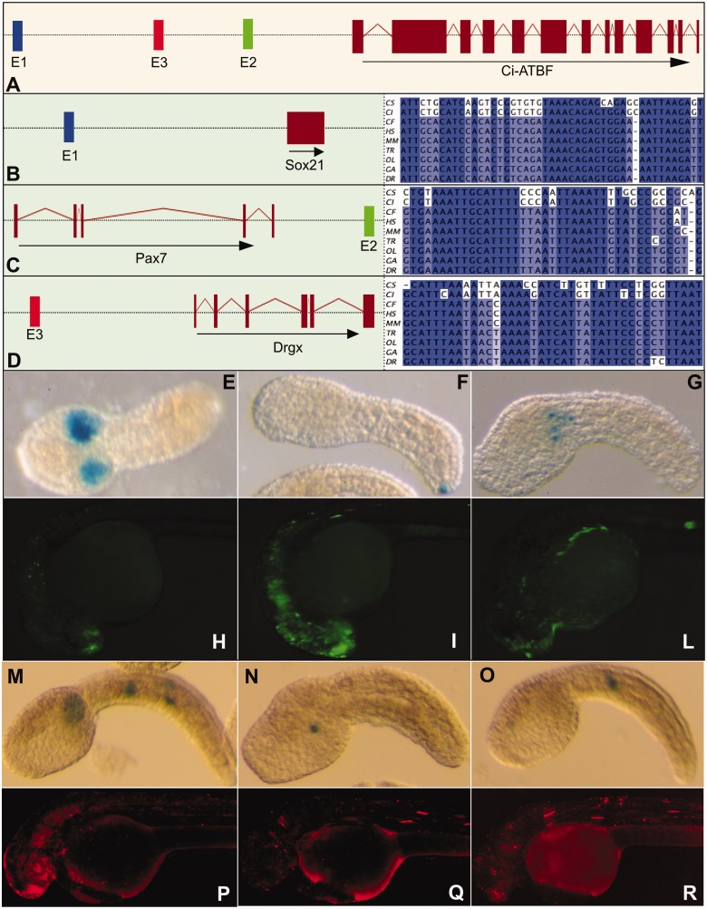 Figure 2.