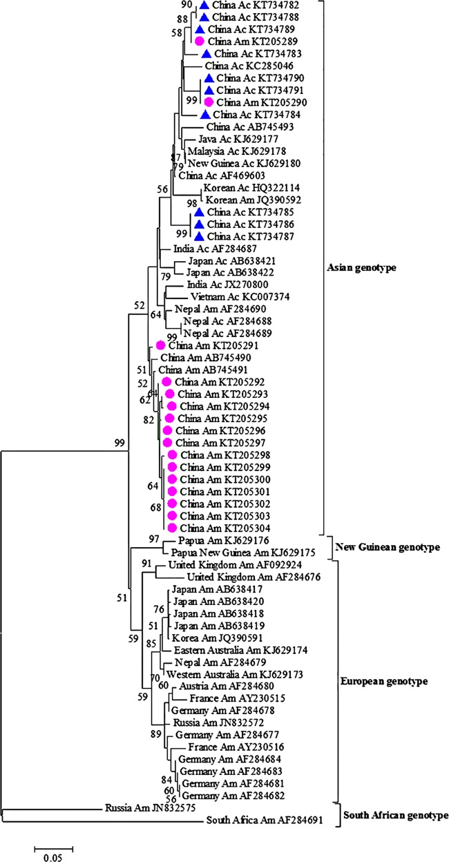 FIG 1