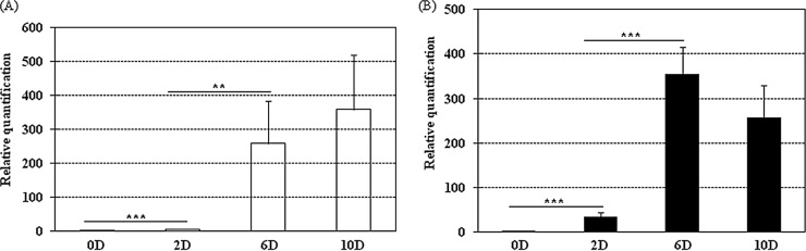 FIG 3