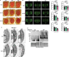 Figure 5: