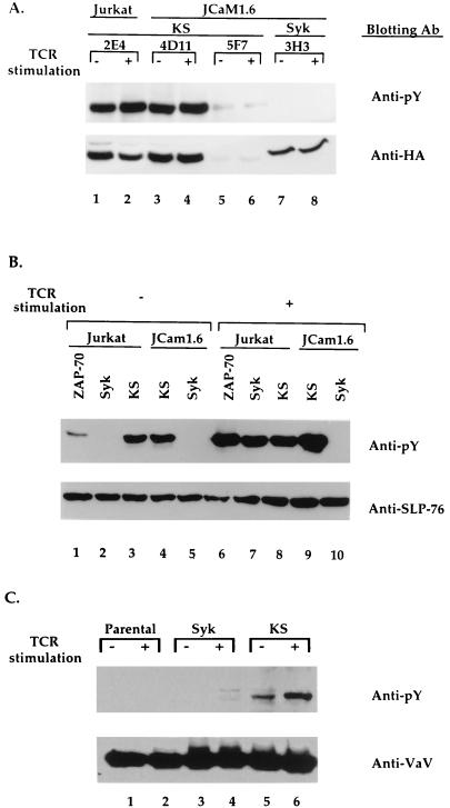 FIG. 5
