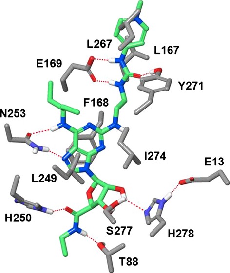 Figure 13