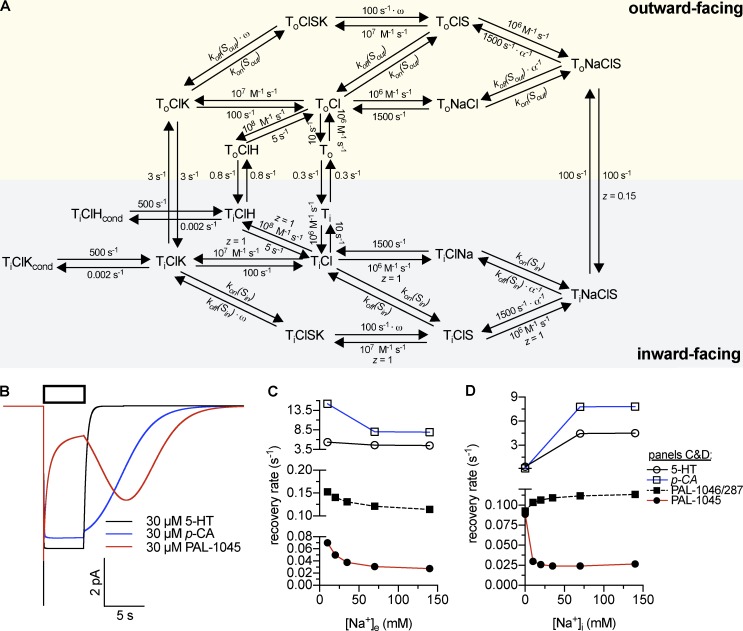 Figure 5.