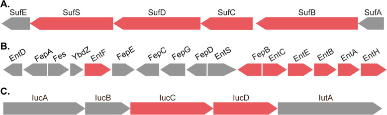 Fig. 6